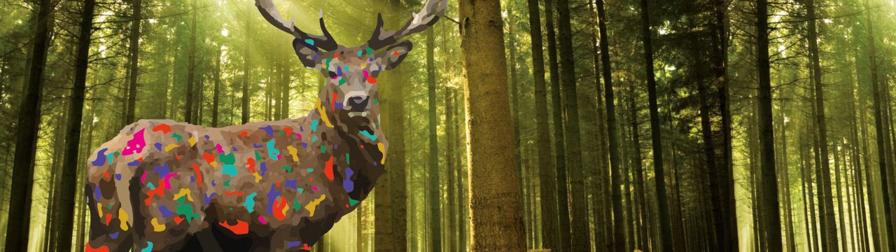 paysage de forêt avec illustration d'un cerf décoré de tâches de peintures multicolores
