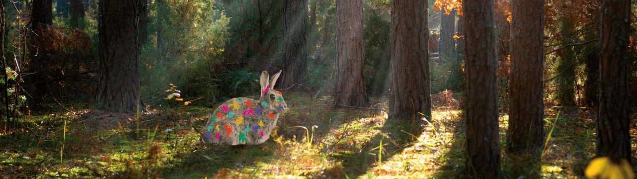 paysage de forêt avec un personnage de lapin décoré de peinture